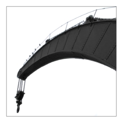 Birds on a Crane
